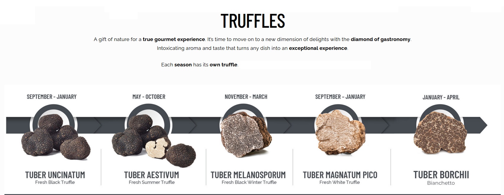 Zigante Truffles