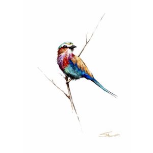 Card LILAC BREASTED ROLLER  A6 SkillyArt