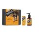 PRORASO WoodSpice DuoPack Beard Oil +Shampoo Set NEW