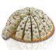 Quaranta Italian Nougat Cake Small Pistachio 110g Wrap 20pcs