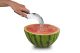 Ipac Italy Genietti Watermelon Cutter & Server